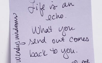 Life is an Echo